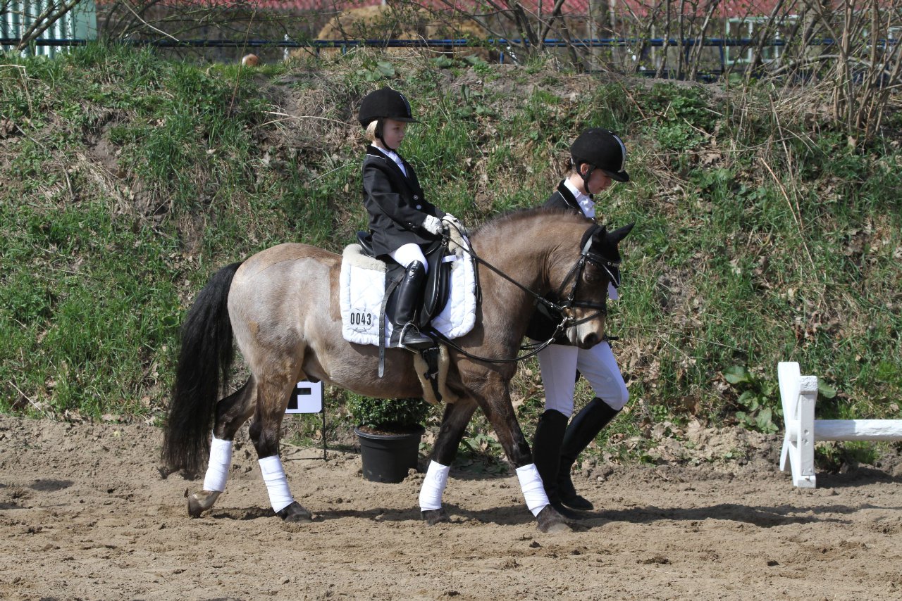 Bild 620 - WBO-Turnier am 9.4.11